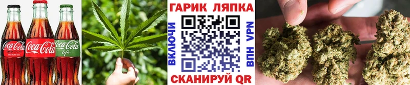 блэк спрут как зайти  Тбилисская  Cannafood марихуана 