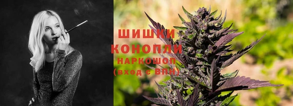 гашик Кукмор