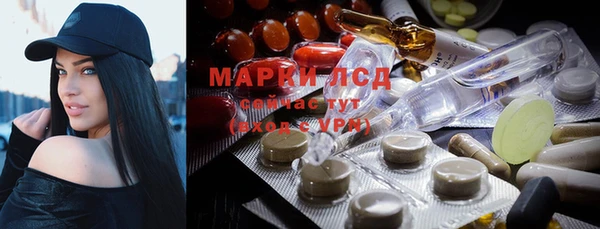 гашик Кукмор
